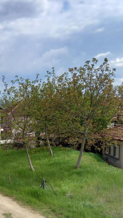 Lago D'Argento Sobe Veliko Gradiste Bagian luar foto